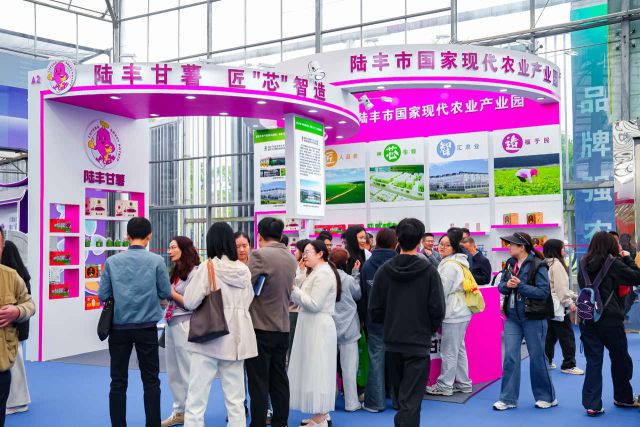 “薯”我最靓！陆丰甘薯全产业链亮相广东种博会