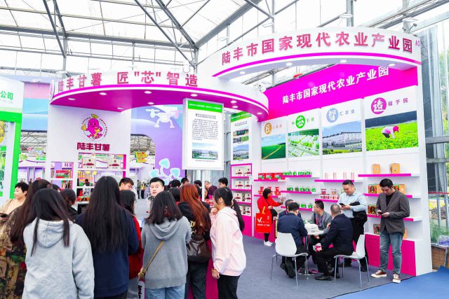 “薯”我最靓！陆丰甘薯全产业链亮相广东种博会(图3)