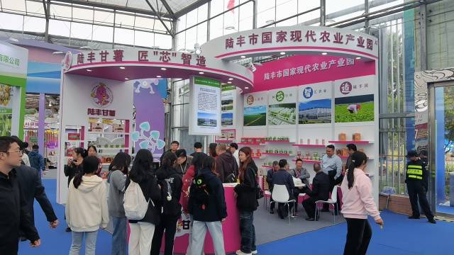 “薯”我最靓！陆丰甘薯全产业链亮相广东种博会(图9)