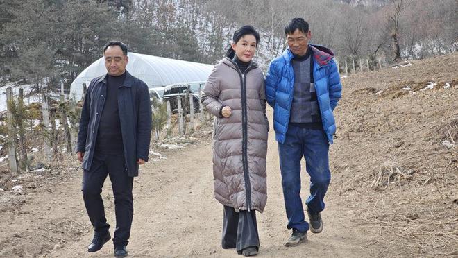 深耕延边黄牛产业 谱写乡村振兴新篇章