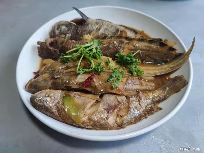 开学在即建议家长：少给孩子吃鸡肉和虾多吃4样平安返校(图3)