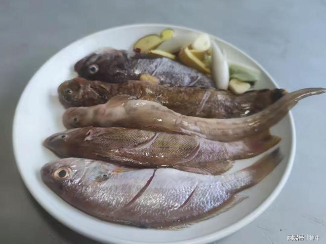 开学在即建议家长：少给孩子吃鸡肉和虾多吃4样平安返校(图4)