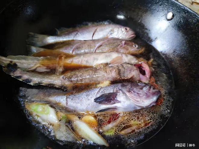 开学在即建议家长：少给孩子吃鸡肉和虾多吃4样平安返校(图5)